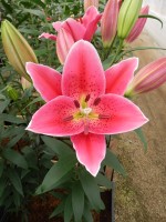 [5377 Mateo VZ No01.JPG]